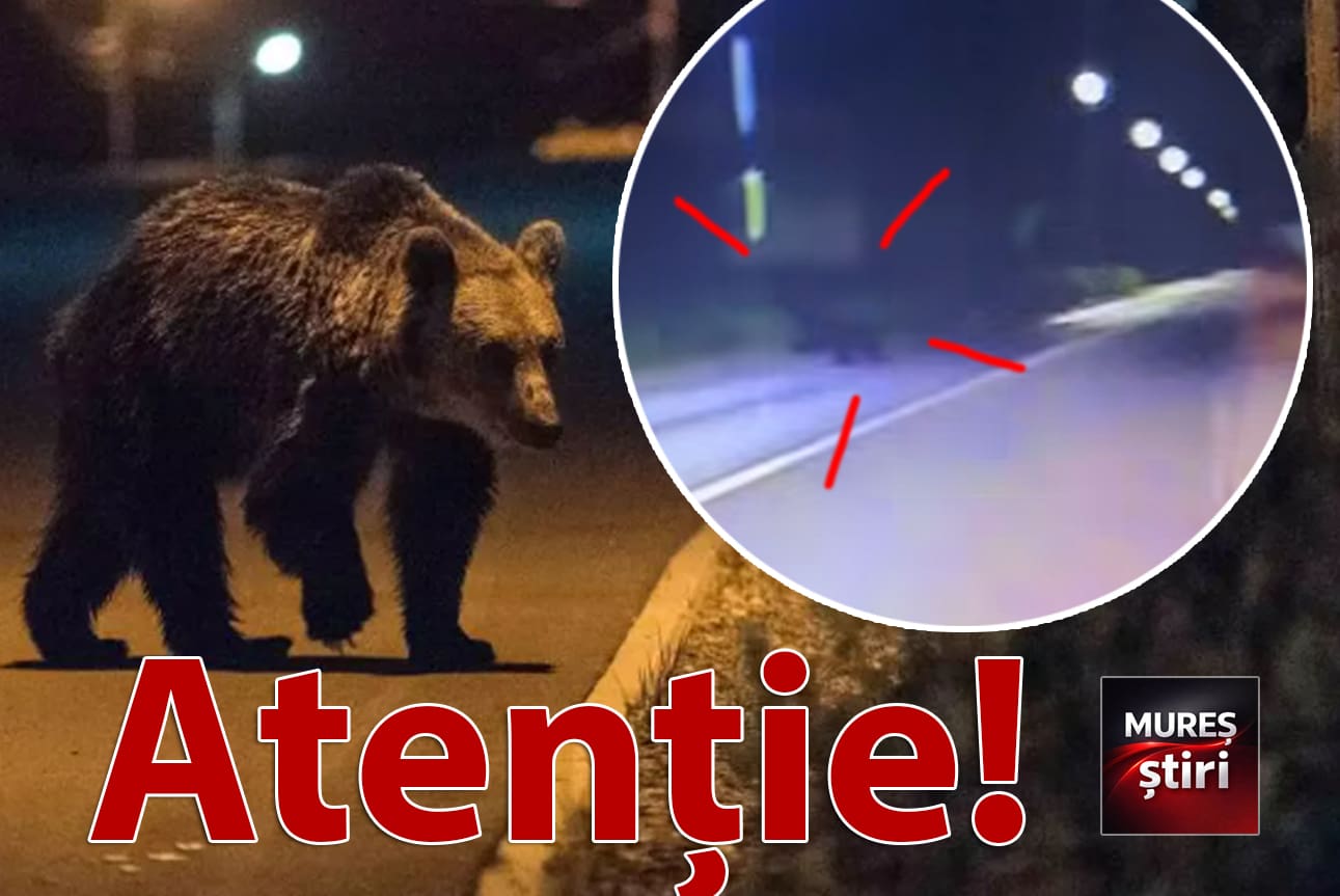 alerta-urs:-pericol-de-accident-pe-calea-sighisoarei-din-targu-mures!-video