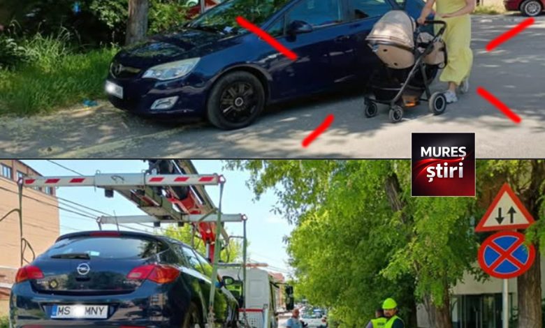 ajunge-|-toleranta-zero-pentru-nesimtire:-pietonii-din-targu-mures,-victimele-zilnice-ale-soferilor-care-sfideaza-bunul-simt-si-legea!