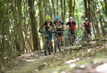 noi-investitii-pe-traseul-de-bicicleta-„dealurile-comorii”-din-livezeni:-puncte-de-odihna-si-masuri-sporite-de-siguranta-pentru-turisti