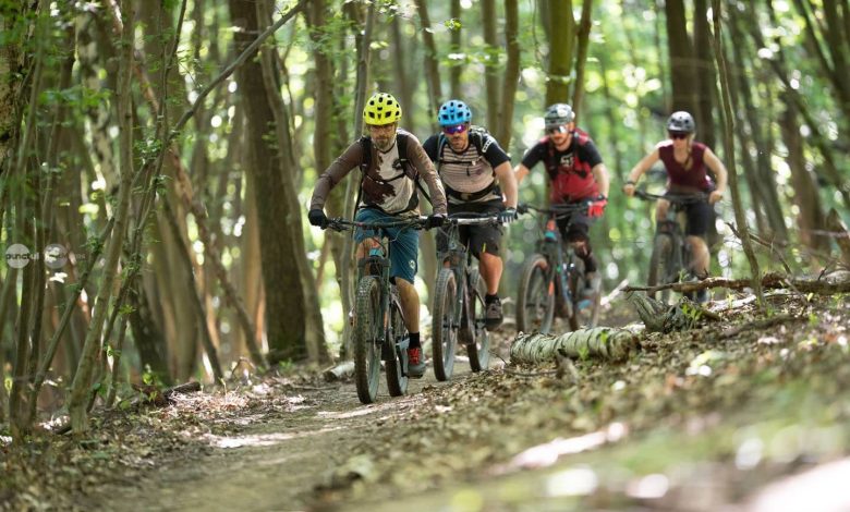 noi-investitii-pe-traseul-de-bicicleta-„dealurile-comorii”-din-livezeni:-puncte-de-odihna-si-masuri-sporite-de-siguranta-pentru-turisti