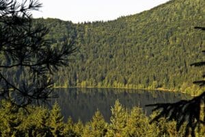 ziua-portilor-deschise,-in-premiera-la-lacul-sfanta-ana