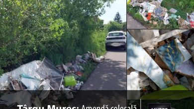 amenda-colosala-pentru-abandonarea-deseurilor-in-targu-mures:-„nu-apelati-la-persoane-neautorizate!”
