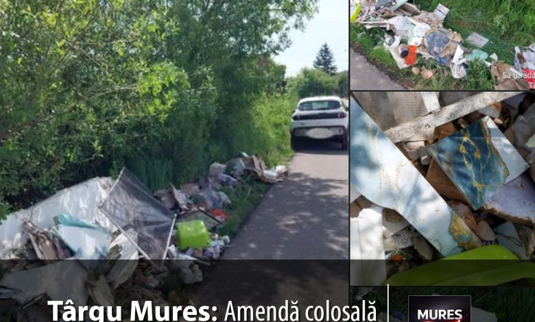 amenda-colosala-pentru-abandonarea-deseurilor-in-targu-mures:-„nu-apelati-la-persoane-neautorizate!”