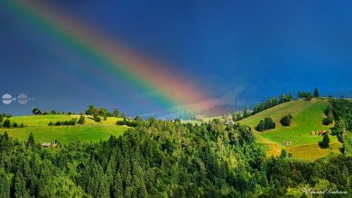 bran-–-moieciu-–-fundata,-brasov,-pe-primul-loc-in-destinatia-anului-ca-taramuri-fermecate