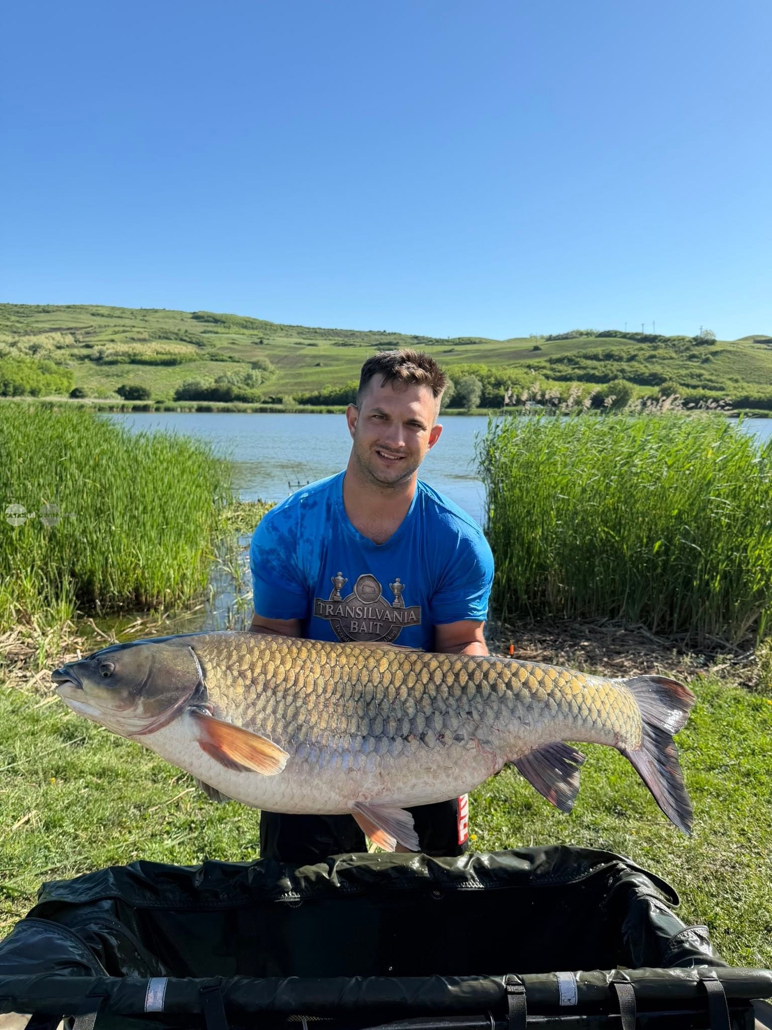 amur-de-peste-23-de-kilograme-prins-pe-lacul-faragau