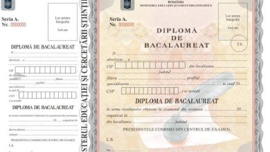 diplomele-de-bacalaureat-pot-fi-eliberate-inainte-de-afisarea-rezultatelor-dupa-contestatii