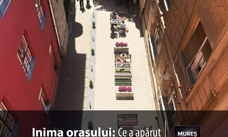 oaza-de-relaxare-de-la-biblioteca-judeteana-mures-prinde-culoare:-un-parteneriat-inflorit-pentru-comunitate-te-asteapta!