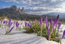 tinutul-raraului,-suceava,-locul-2-ca-taramuri-fermecate-in-competitia-destinatia-anului