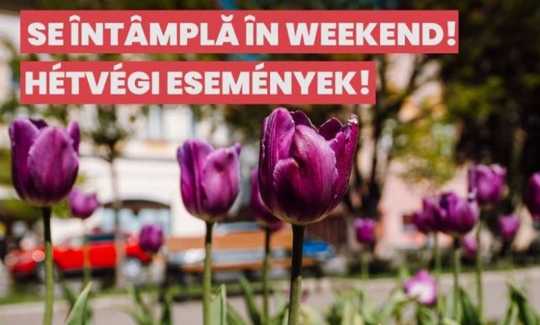 se-intampla-in-weekend,-in-targu-mures