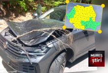 alerta-meteo:-prapad-cauzat-de-vant!-copac-prabusit-peste-o-masina-/-cod-galben-de-vijelii-puternice-astazi!