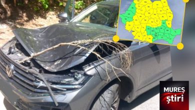 alerta-meteo:-prapad-cauzat-de-vant!-copac-prabusit-peste-o-masina-/-cod-galben-de-vijelii-puternice-astazi!