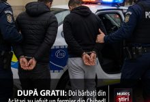 doi-barbati-din-acatari,-retinuti-de-politistii-din-mures-pentru-furt-calificat!