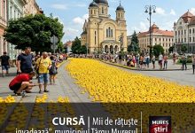 mii-de-ratuste-„invadeaza”-targu-muresul:-cursa-de-caritate-revine-cu-o-editie-plina-de-magie!