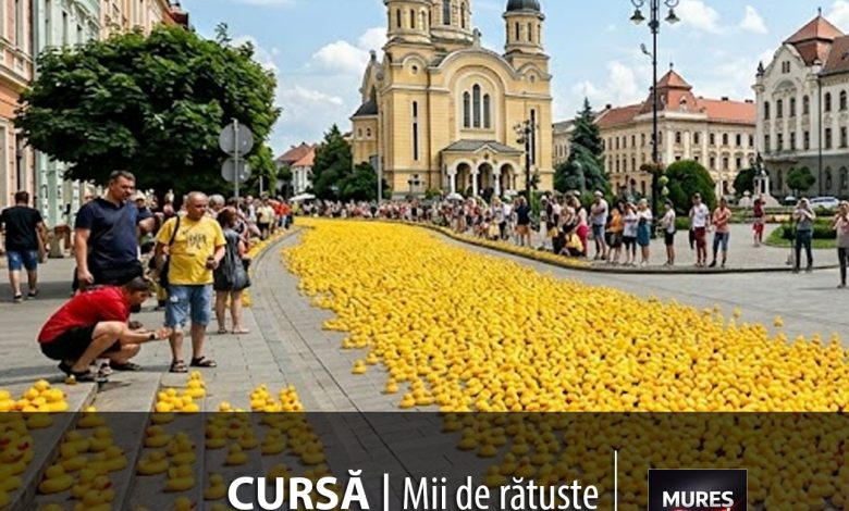 mii-de-ratuste-„invadeaza”-targu-muresul:-cursa-de-caritate-revine-cu-o-editie-plina-de-magie!