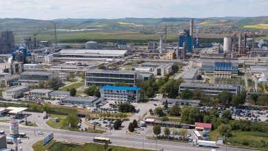 azomures bolojan pnl