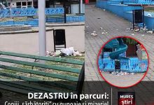 dezastru-in-parcuri:-1-iunie-transformat-intr-o-lectie-de-nepasare.-copiii-„sarbatoriti”-cu-gunoaie-si-mizerie-la-targu-mures!-video