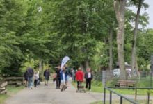 de-1-iunie-copii-intra-gratuit-la-zoo-targu-mures