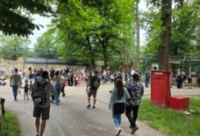 mii-de-vizitatori-de-1-iunie,-la-zoo-targu-mures