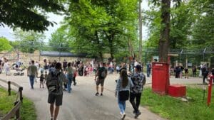 mii-de-vizitatori-de-1-iunie,-la-zoo-targu-mures