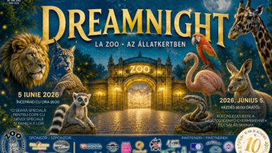 gradina-zoologica-targu-mures-anunta-inceperea-evenimentului-„dreamnight-at-the-zoo”