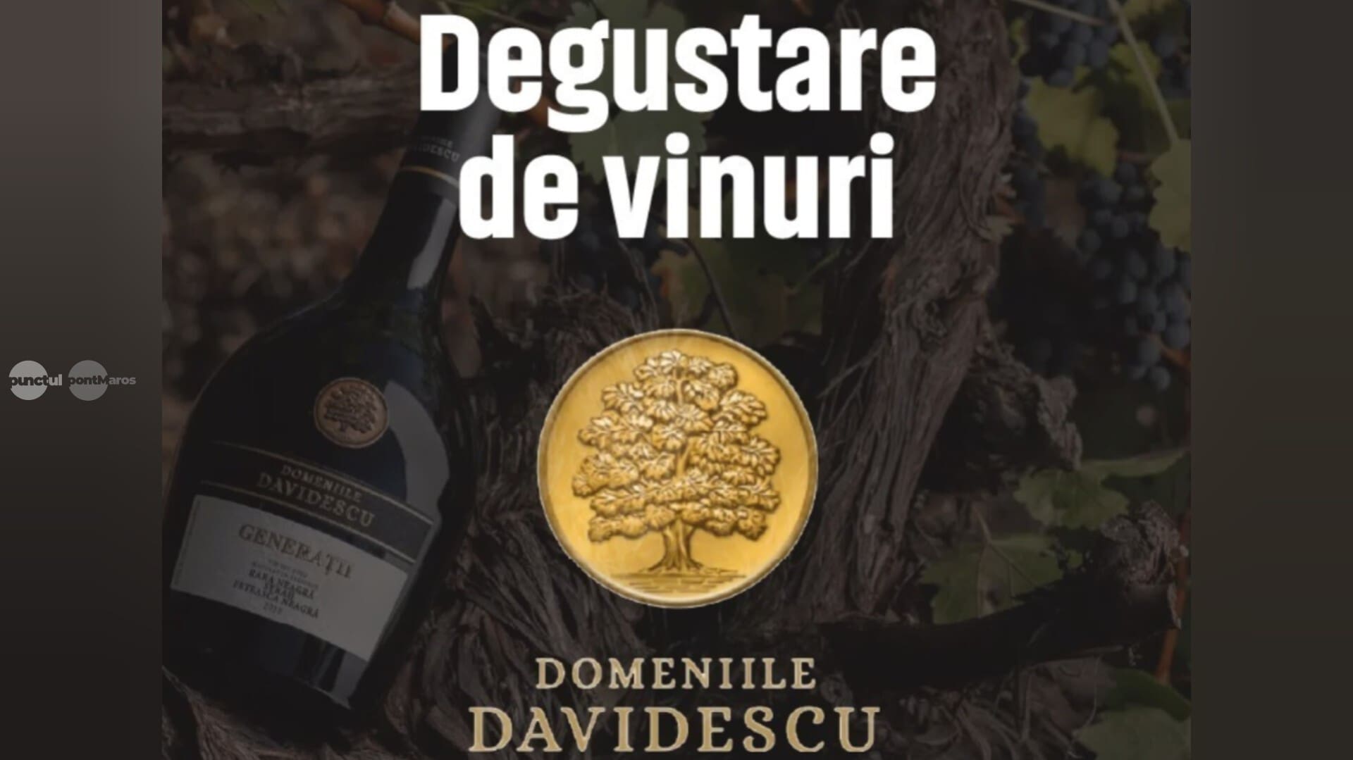 seara-kabinett-cu-vinuri-de-la-crama-davidescu,-pe-11-iunie,-la-osteria-del-dottore