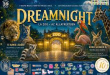 o-seara-magica-pentru-copii-speciali-la-zoo