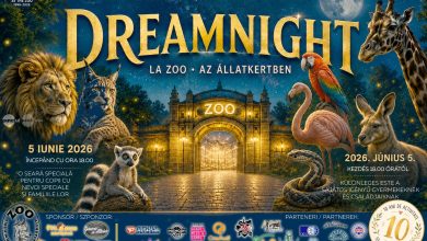 o-seara-magica-pentru-copii-speciali-la-zoo