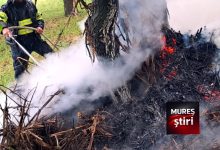 video-|-incendiu-provocat-de-trasnet-in-campenita!-pompierii-voluntari-au-lichidat-flacarile