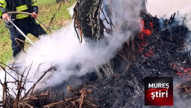 video-|-incendiu-provocat-de-trasnet-in-campenita!-pompierii-voluntari-au-lichidat-flacarile