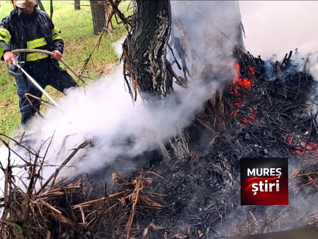 video-|-incendiu-provocat-de-trasnet-in-campenita!-pompierii-voluntari-au-lichidat-flacarile