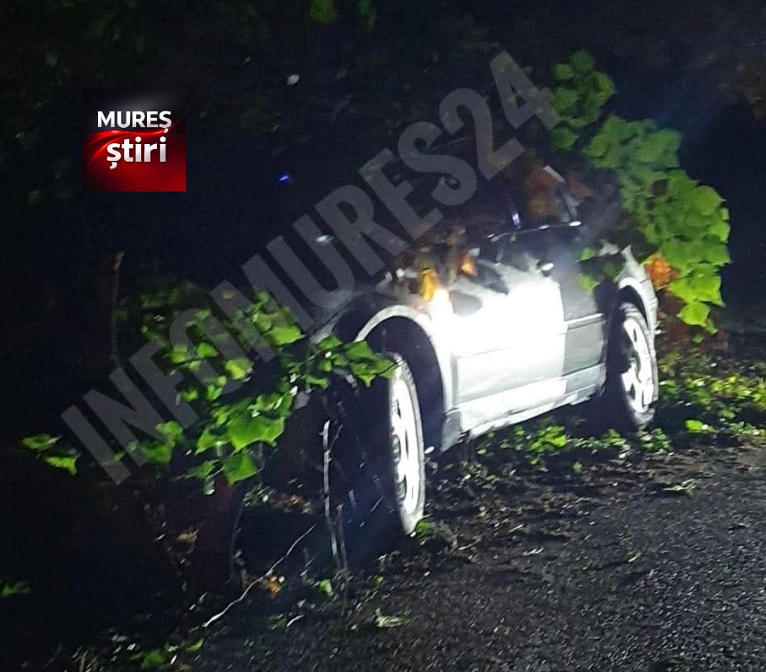 accident-in-targu-mures:-un-autoturism-a-intrat-intr-un-copac-pe-drumul-spre-platoul-cornesti!