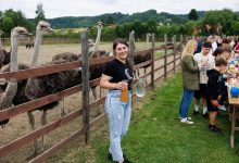 sunteti-in-cautarea-unei-experiente-inedite-pentru-intreaga-familie?-vizitati-gradina-cu-struti-din-intorsura-buzaului!