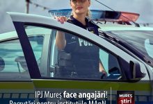 atentie:-ipj-mures-face-angajari!-recrutari-pentru-institutiile-mapn-si-academia-nationala-de-informatii-„mihai-viteazul”!