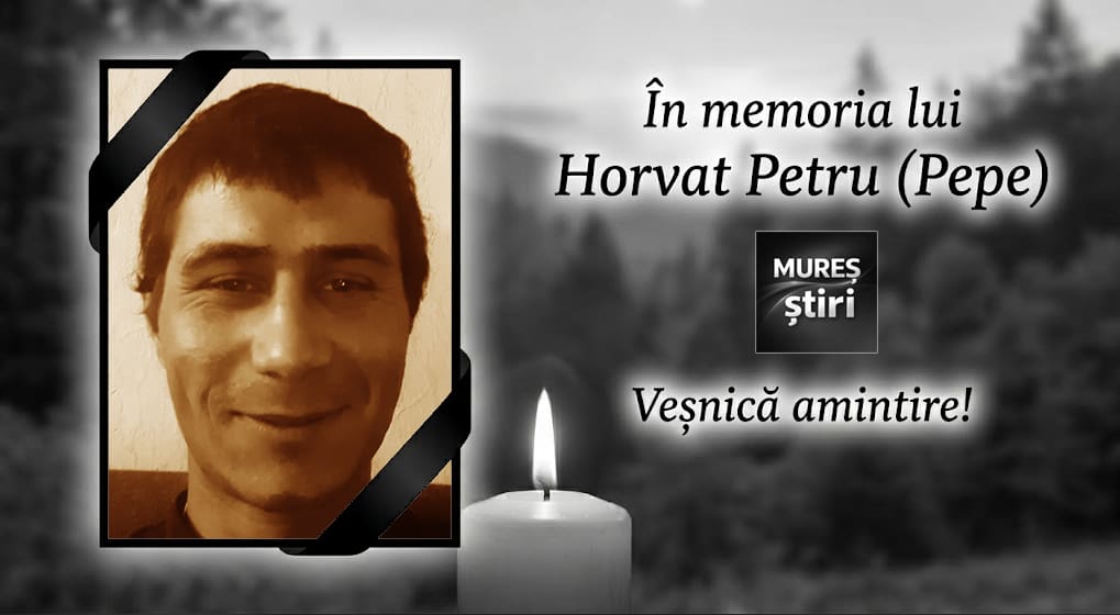 tragedie-fara-margini:-pepe-era-tanarul-ucis-de-urs-langa-mures!-comunitatea,-revoltata-de-frecventa-atacurilor!