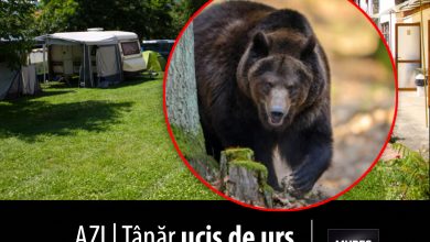 tragedie:-un-tanar-de-34-de-ani-a-fost-ucis-de-un-urs,-chiar-langa-judetul-mures!-semnal-de-alarma:-prezenta-ursilor-a-devenit-o-amenintare-constanta-si-in-mures