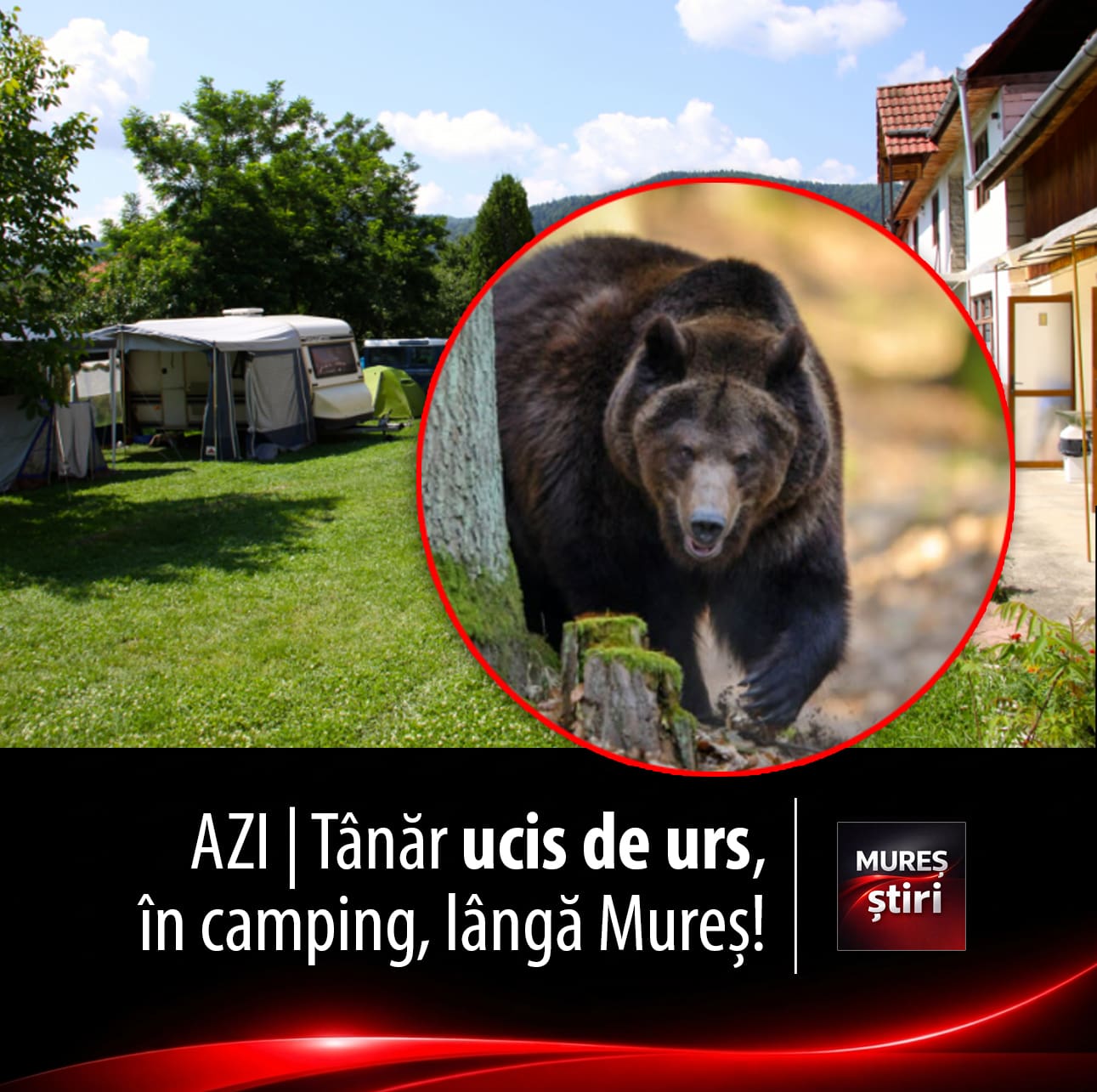 tragedie:-un-tanar-de-34-de-ani-a-fost-ucis-de-un-urs,-chiar-langa-judetul-mures!-semnal-de-alarma:-prezenta-ursilor-a-devenit-o-amenintare-constanta-si-in-mures