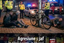 agresiune-si-jaf-in-plina-noapte,-la-ludus:-doi-barbati-au-ajuns-dupa-gratii-dupa-ce-au-talharit-un-biciclist!