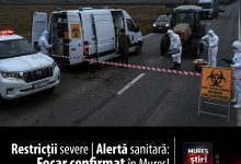 mures-|-alerta-epidemiologica-critica:-focar-de-pesta-a-micilor-rumegatoare-confirmat-in-mures-–-masuri-de-urgenta-si-restrictii-severe!