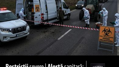 mures-|-alerta-epidemiologica-critica:-focar-de-pesta-a-micilor-rumegatoare-confirmat-in-mures-–-masuri-de-urgenta-si-restrictii-severe!