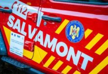 salvamont-romania,-recomandari-de-vara-pentru-turisti:-ursii-si-viperele-coboara-tot-mai-des-in-poteci