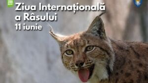 ziua-internationala-a-rasului-va-fi-marcata-la-gradina-zoologica-brasov