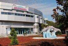 delfinariu-–-planetariu-–-microrezervatie-naturala,-constanta,-locul-2-ca-taram-al-cunoasterii-in-destinatia-anului