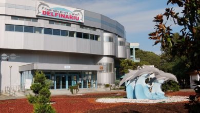 delfinariu-–-planetariu-–-microrezervatie-naturala,-constanta,-locul-2-ca-taram-al-cunoasterii-in-destinatia-anului