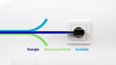 intreruperi-de-energie-electrica-in-roteni-si-archita