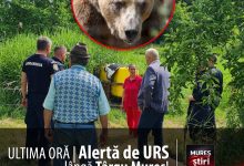 ultima-ora-|-alerta-de-urs-in-sangeorgiu-de-mures:-autoritatile-au-intervenit-in-regim-de-urgenta!