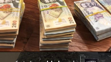 captura-record-de-droguri:-58-de-kilograme-si-aproape-un-milion-de-lei-cash,-confiscate-de-politistii-bcco-targu-mures!