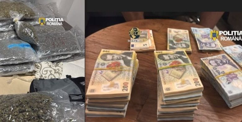 foto:-trafic-de-droguri-pe-axa-targu-mures-–-cluj-napoca-–-alba-iulia:-zeci-de-kilograme-+-o-suma-imensa-de-bani-descoperite-de-politie-si-diicot!