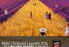 video-|-evadeaza-in-provence-ul-din-inima-transilvaniei:-festivalul-lavandei-2026-te-asteapta-la-madaras!