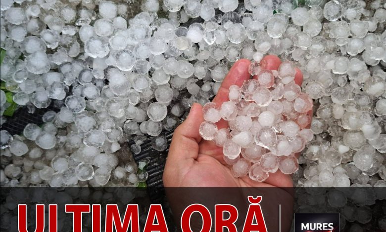 video-|-interventii-in-mures:-pompierii-actioneaza-pentru-inlaturarea-efectelor-fenomenelor-meteorologice-extreme!-foto