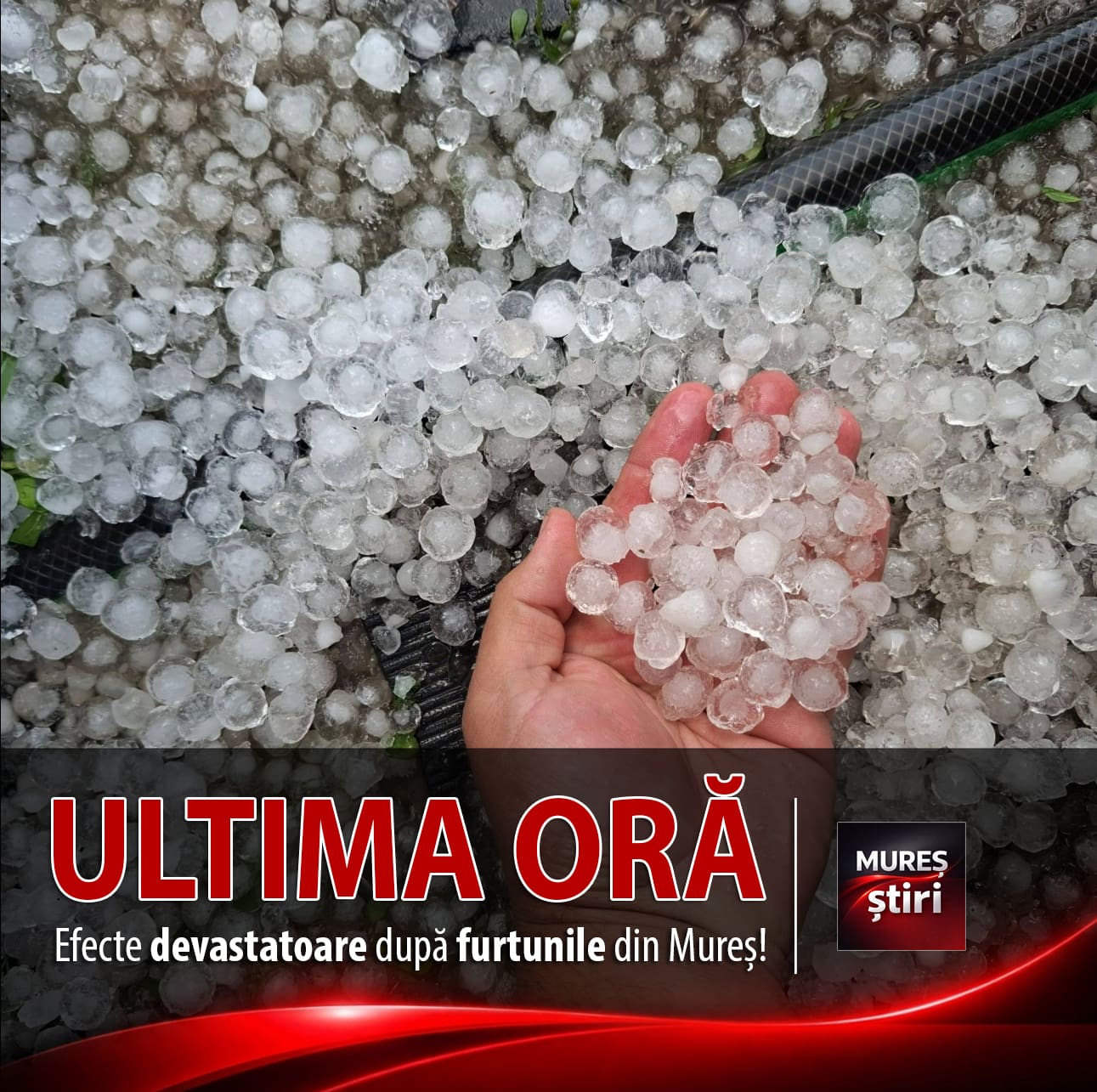 video-|-interventii-in-mures:-pompierii-actioneaza-pentru-inlaturarea-efectelor-fenomenelor-meteorologice-extreme!-foto